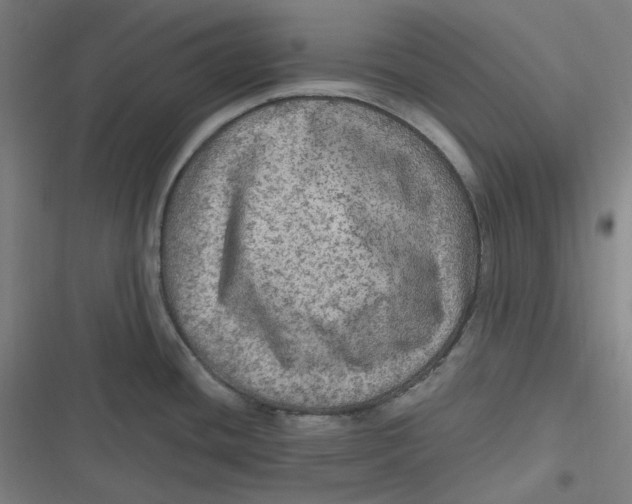 X0000116791436201001081304