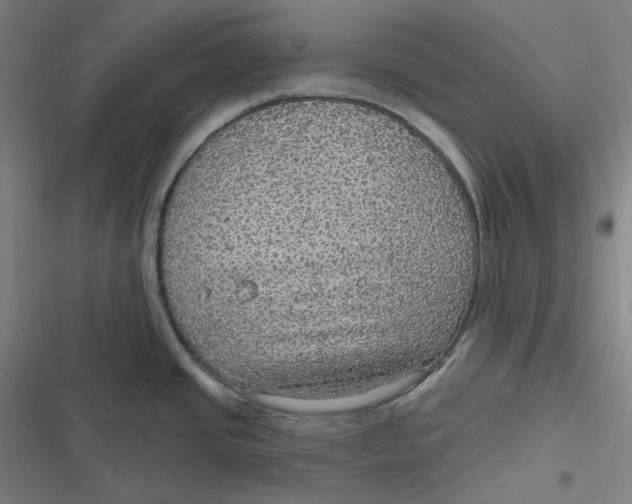 X0000116791437201001081304