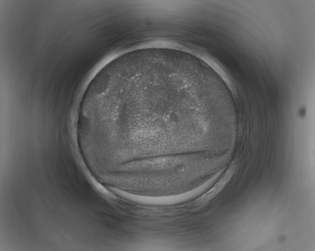 X0000116791438201001081304