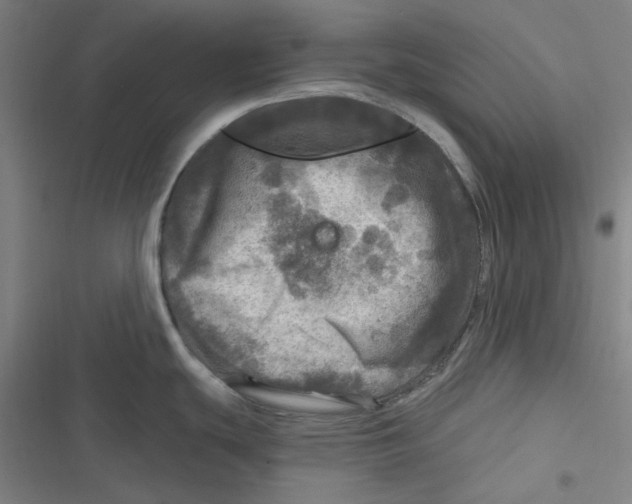 X0000116791439201001081304