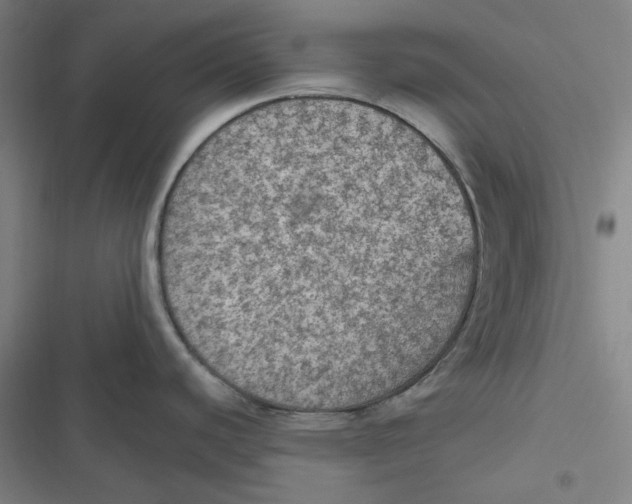 X0000116791440201001081304