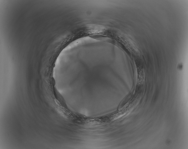 X0000116791441201001081304