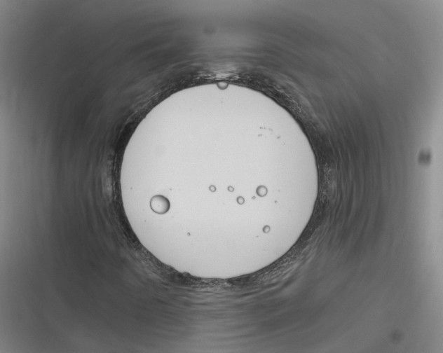 X0000116791442201001081303