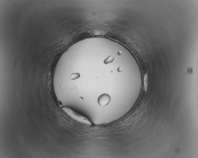 X0000116791443201001081303