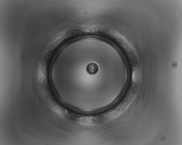 X0000116791444201001081303