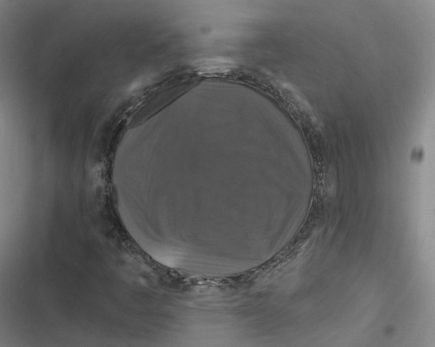 X0000116791445201001081303