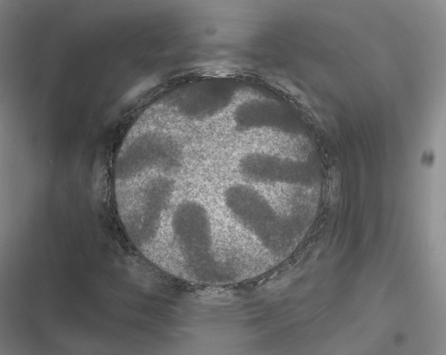 X0000116791446201001081303