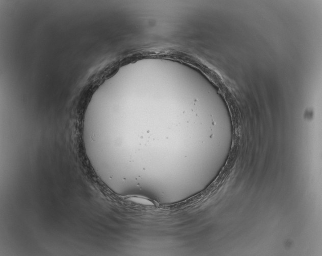 X0000116791447201001081303