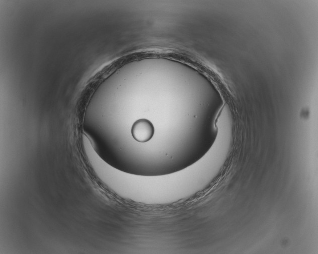 X0000116791448201001081303