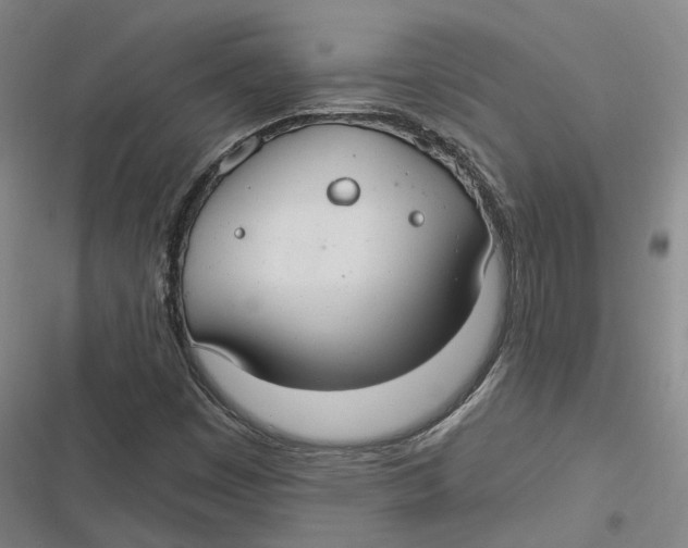 X0000116791449201001081303