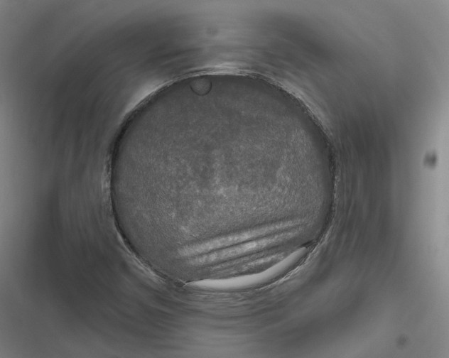 X0000116791450201001081303