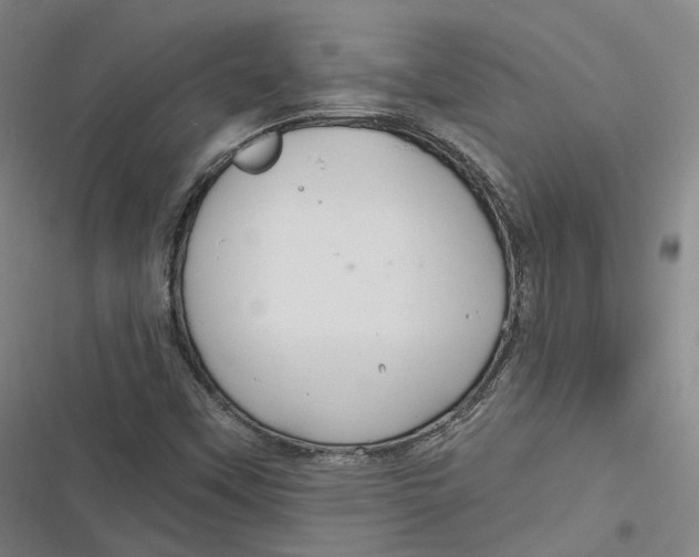 X0000116791451201001081303