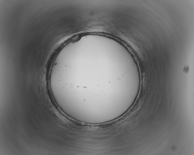 X0000116791452201001081303