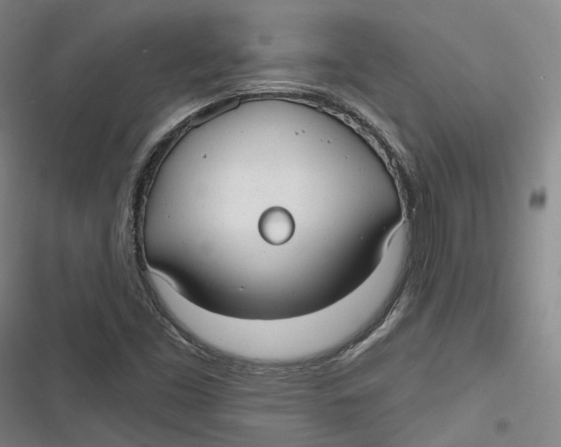 X0000116791453201001081303