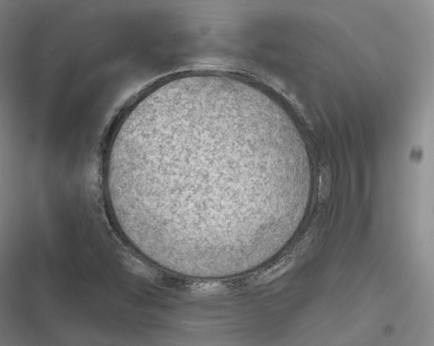 X0000116791454201001081303