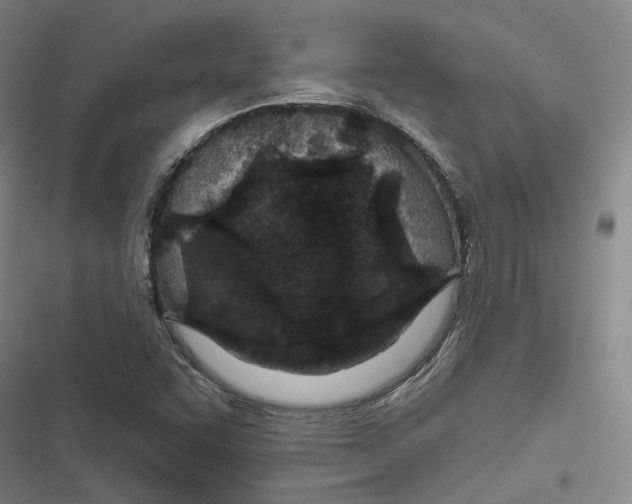 X0000116791455201001081303