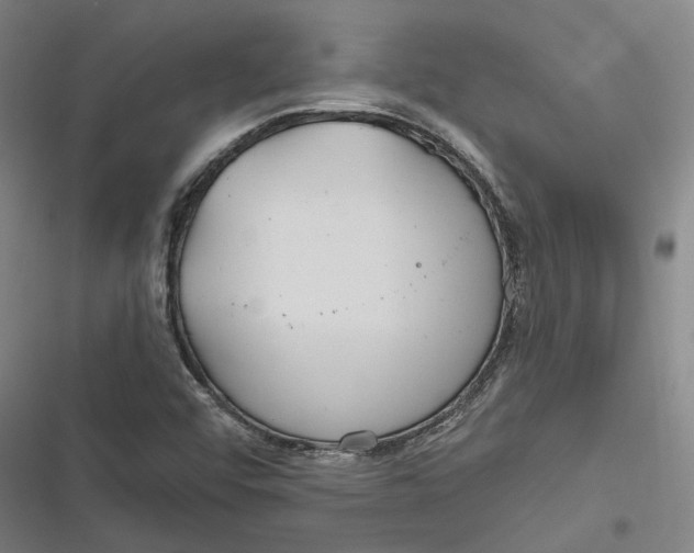 X0000116791456201001081303