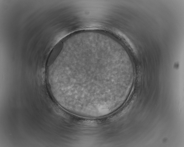 X0000116791457201001081303