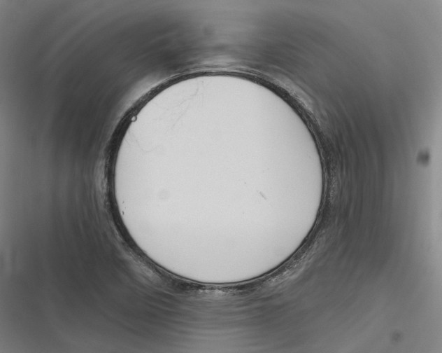 X0000116791458201001081303