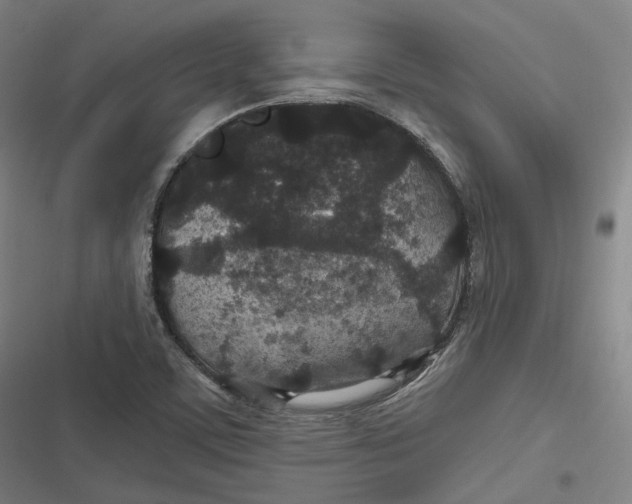 X0000116791459201001081303