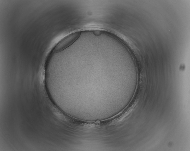 X0000116791461201001081303