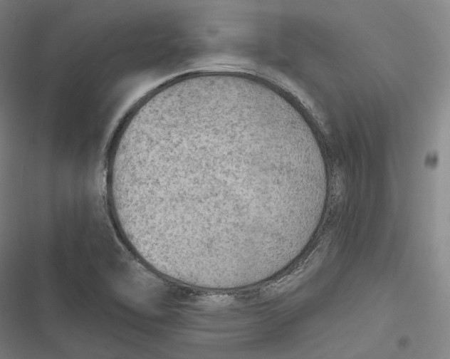 X0000116791462201001081303