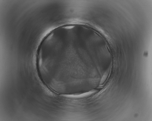 X0000116791463201001081303