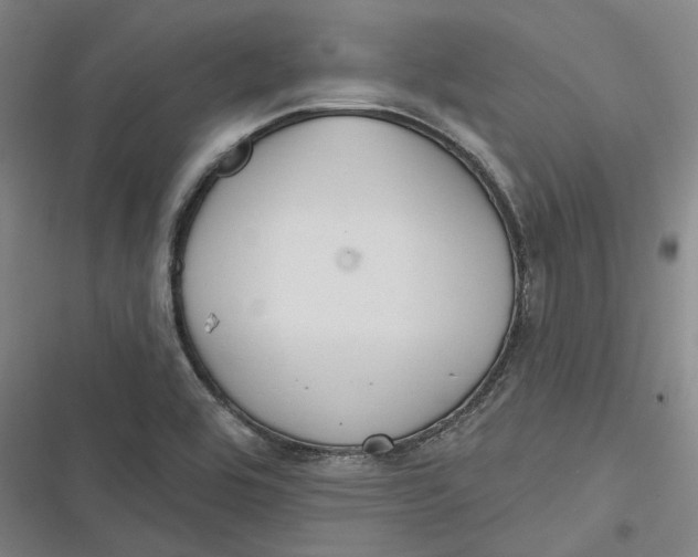 X0000116791464201001081303