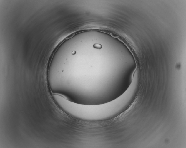 X0000116791465201001081303