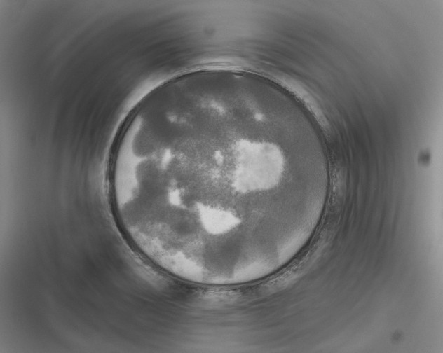 X0000116791466201001081303