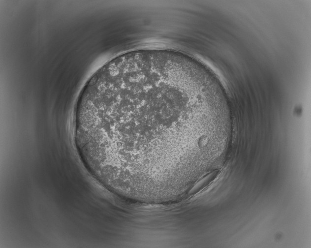 X0000116791467201001081303