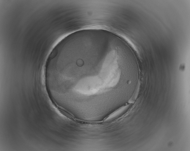 X0000116791468201001081303