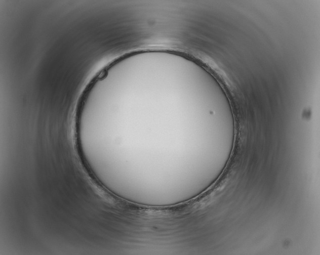 X0000116791469201001081303