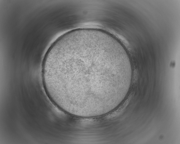 X0000116791470201001081303