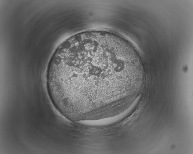 X0000116791471201001081303