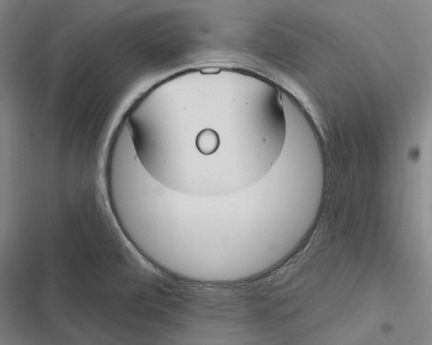 X0000116791472201001081303