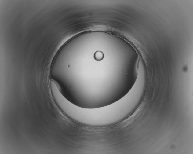 X0000116791473201001081303