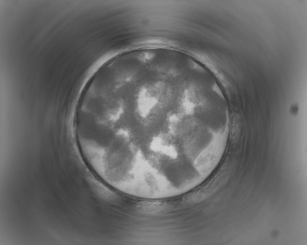 X0000116791474201001081303