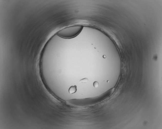 X0000116791475201001081303