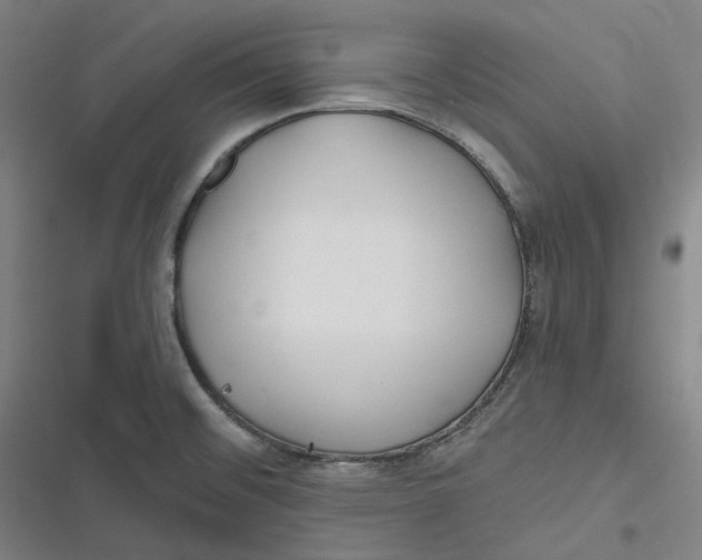 X0000116791476201001081303