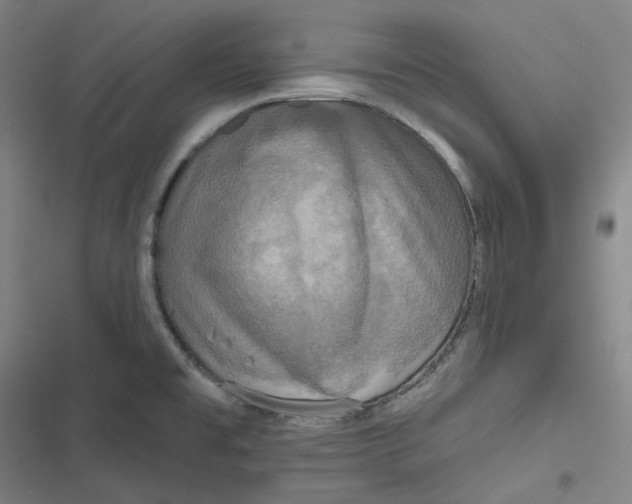 X0000116791477201001081303