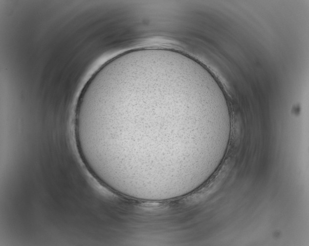 X0000116791478201001081303