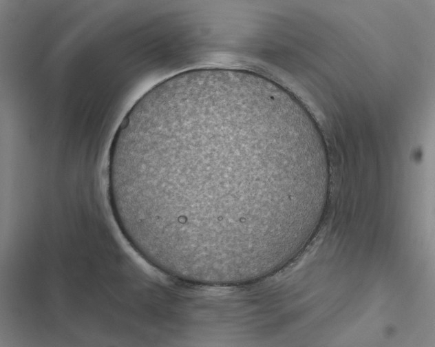 X0000116791479201001081303