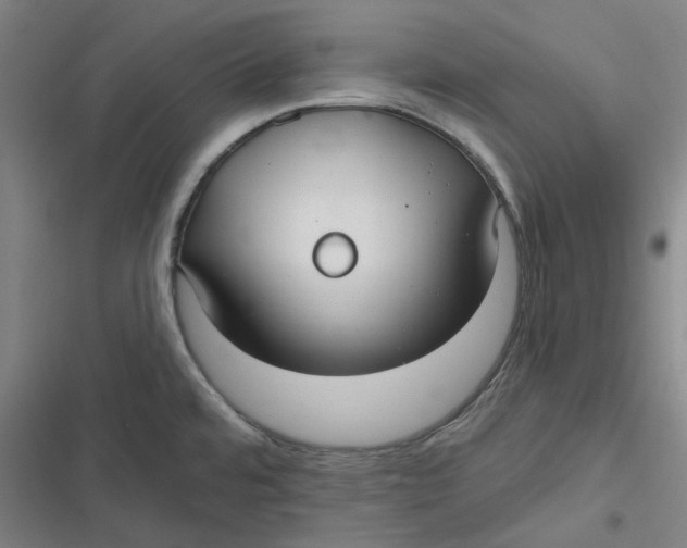 X0000116791480201001081303