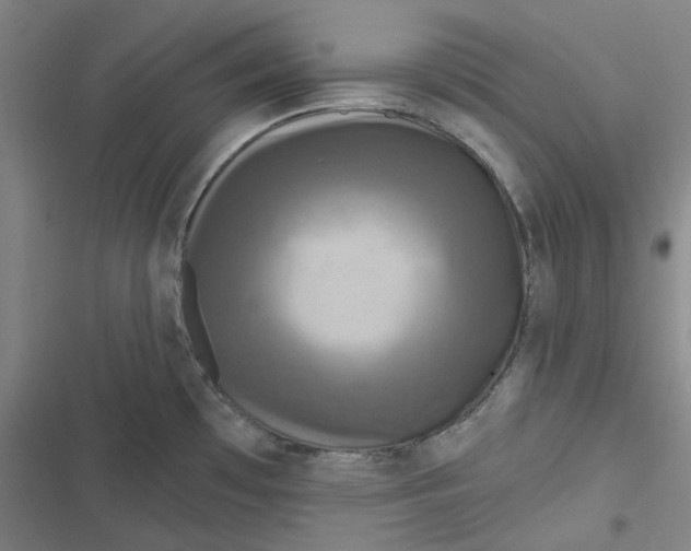 X0000116791481201001081303