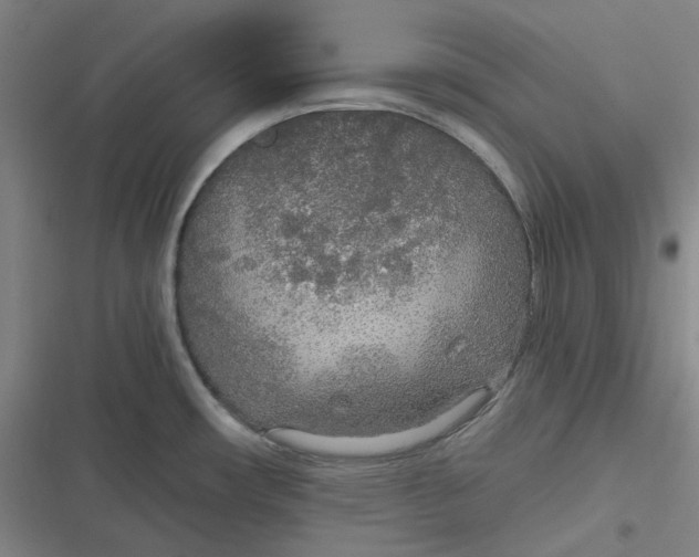 X0000116791482201001081303