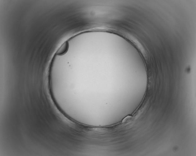 X0000116791483201001081303