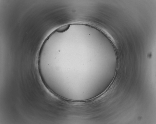 X0000116791484201001081303