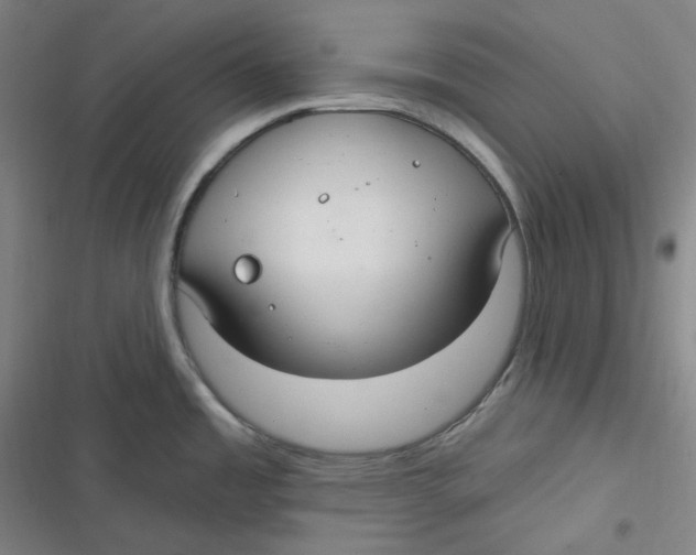 X0000116791485201001081303