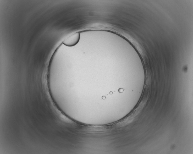 X0000116791486201001081303